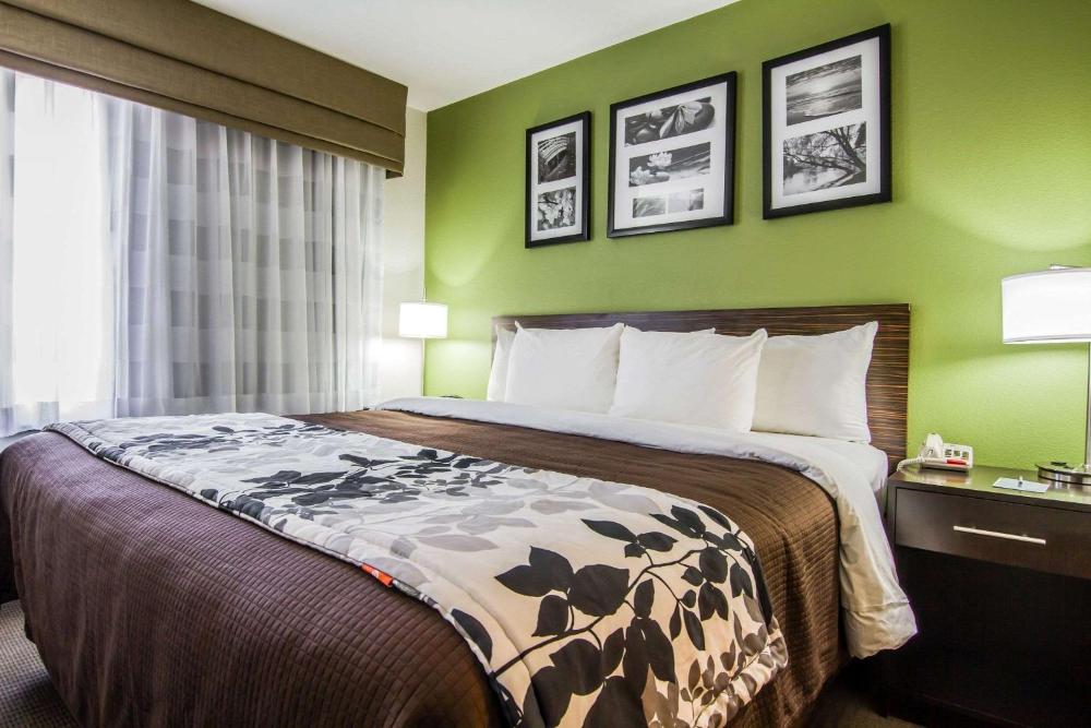 King Room with Roll-In Shower - Accessible/Non-Smoking interior
